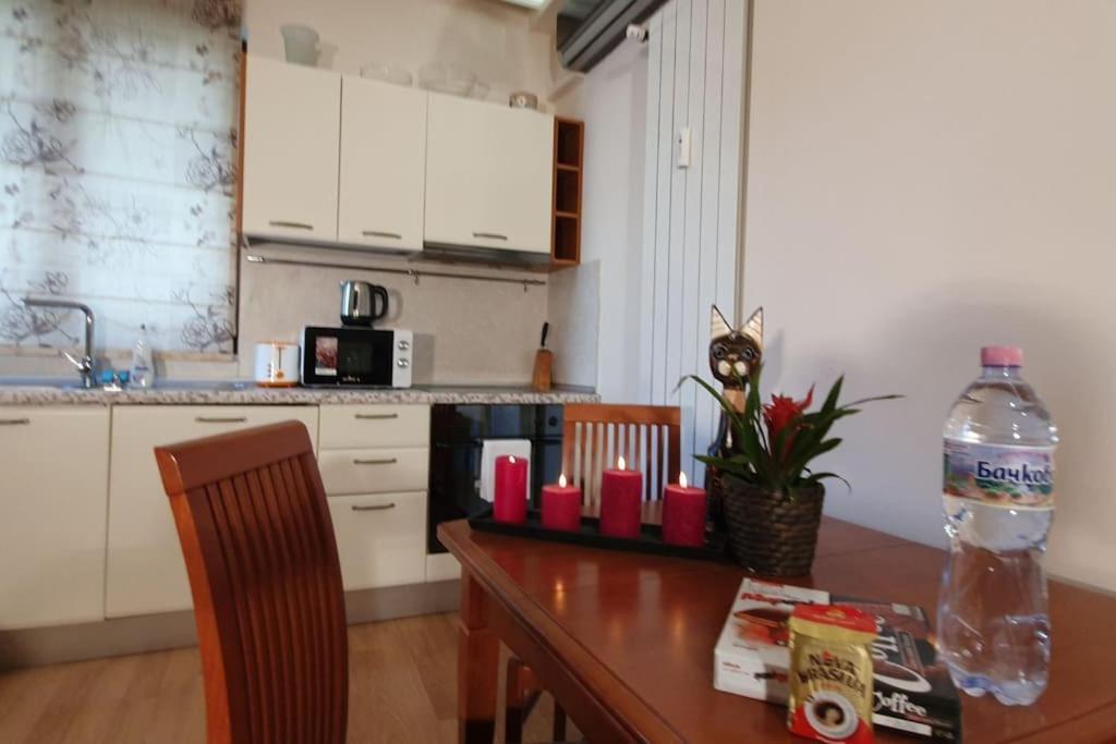 Apartamento Roza Sofía